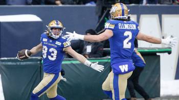 Dave Naylor: Prairie Grey Cup in ‘fail-safe’ Regina ready to roll