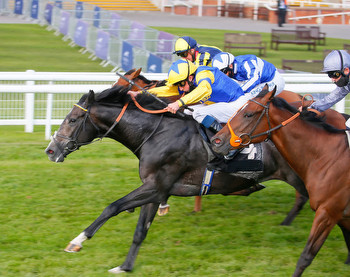 Dave Nevison's horse racing tips: Best bets for Thursday