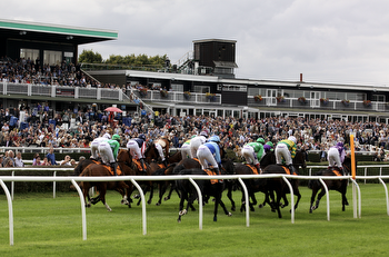 Dave Nevison's horse racing tips: My best bets for Friday