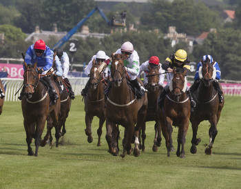 Dave Nevison's Saturday racing tips: Tomily perfectly placed on stands' rail