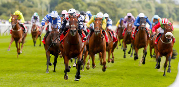 Dave Nevison's tips: a 33-1 Ebor fancy and other best bets