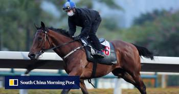 David Hall ‘resetting and starting off again’ as Captain Win tackles the dirt for the first time at Sha Tin