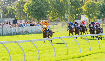 David Harrison Claims Maiden Perth Cup With Buster Bash