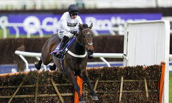 Day 1: The best bets for Tuesday including the Champion Hurdle