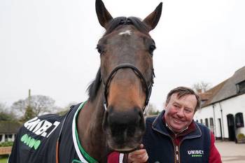 New photos show Constitution Hill looking absolutely MASSIVE as Nicky Henderson faces crucial decision on horse's future