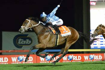 De Kock horses dominate, but there's value in Summer Cup early betting
