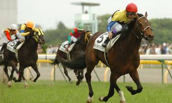 Deep Impact: The Enduring Legacy of a World-Renowned Racehorse