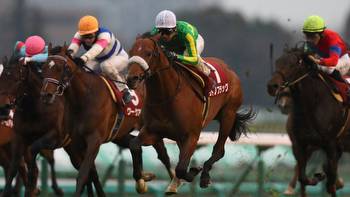 Deep Impact's son records appropriate success to cement Classic aspirations