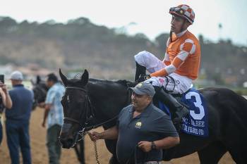 Del Mar Summer Highlighted by Record Wagering, Field Size