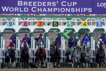 Del Mar Thoroughbred Club To Host 2025 Breeders' Cup