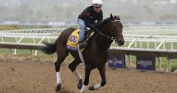 Del Mar to host Breeders' Cup in 2025