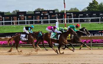 Delaware: Capuanos-trained Copper Tax Just Great * The Racing Biz