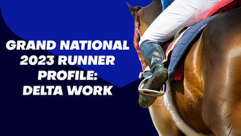Delta Work Grand National Odds & Betting Profile
