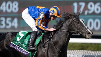 Derby and Breeders' Cup hero Auguste Rodin to stay in training next year says Aidan O'Brien