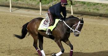 Derby contender euthanized following injury