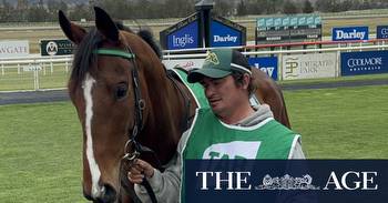 Derby Day 2023: The horse nobody wanted, the self-taught trainer and the chance to enter derby folklore