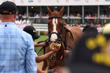 Derby Deaths Expose Ugly Side of $400B Horse Racing Industry