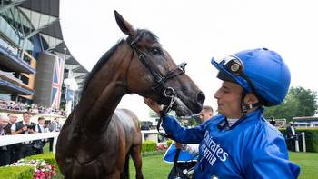 Derby hero Adayar gets green light to run in the Champion Stakes on Saturday