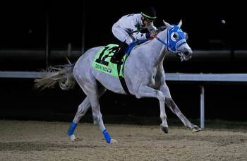 Derby prep: Congruent takes León on familiar trip in Battaglia