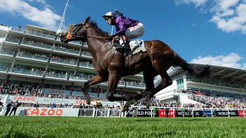 Derby runner-up Mojo Star to stand at Whytemount Stud