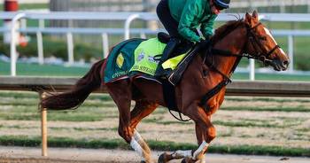 Derma Sotogake has look of Kentucky Derby winner