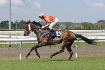 Desert Lightning Will Compete In Group 1 Otaki-Maori WFA Classic