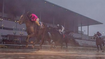 Deterministic Joins Triple Crown Trail with Rain-Soaked Gotham Win