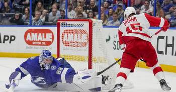 Detroit Red Wings at Tampa Bay Lightning Preview and Game Day Thread