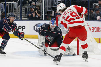 Detroit Red Wings vs. Blue Jackets Game 41 Preview, Prediction, Odds