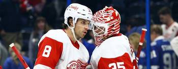 Detroit Red Wings vs Florida Panthers 12/8/2022 Picks Predictions