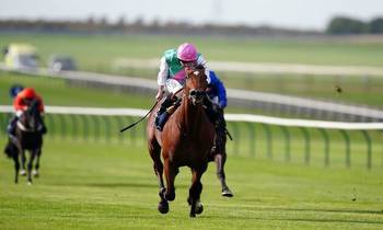 Dewhurst Stakes: Views from connections