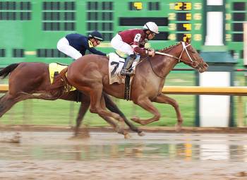 Disarm Splashes Home First in Matt Winn