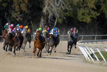 Discover the Top Countries for Horse Racing in the US