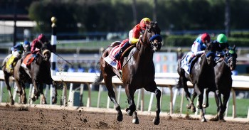 DK Horse San Felipe Stakes Picks: Top Horse Racing Betting Picks for the San Felipe Stakes on DK Horse
