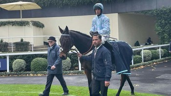 Doddiethegreat proves popular winner at Ascot