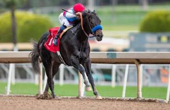 Does Baffert’s $3.55 million colt Hejazi need early lead to win?