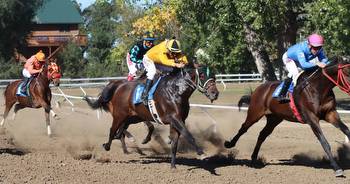 Dogged Contender: SD horse racing defies the odds, despite political hurdles