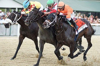 Domestic Product enters Derby picture with win in Tampa Bay Derby