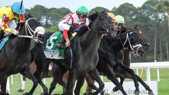 Domestic Product Wins Tampa Bay Derby After Tote Failure Halts Wagering