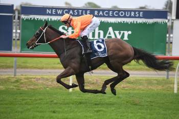 Doncaster Mile hopefuls set to battle it out in Prelude
