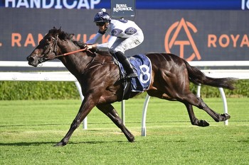 Doncaster Mile hopefuls to chase spot in Ajax Stakes