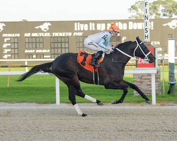 Dorth Vader Sets Stakes Record In Sandpiper, Super Chow Impresses In Inaugural At Tampa Bay Downs