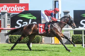 Doull produces the goods at Sale