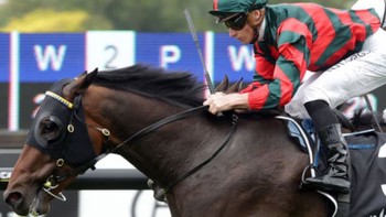 Dragon Leap eyes Stradbroke Handicap tilt, Force Of Will runs this Saturday