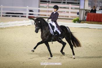 Dressage at Devon Dreams Come True