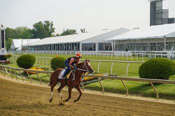 DRF Bets Bonus Code Unlocks $260 for the Preakness Stakes