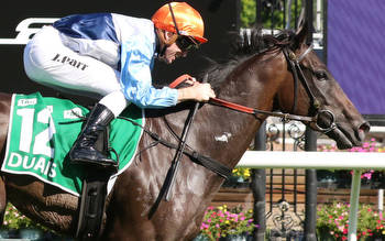 Duais ready to perform in Turnbull Stakes