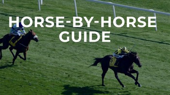 Dubai Duty Free Mill Reef Stakes preview: Horse-by-horse guide