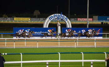 Dubai Gold Cup 2023 Field, Tips, Betting Odds, Results