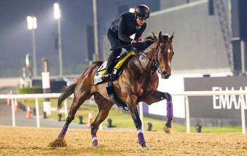 Dubai newsflash: Japanese Derby winner Do Deuce lame and scratched from Dubai Turf